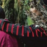 Pohvale u Veneciji za „Oazu“ Ivana Ikića  8