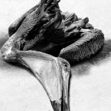 Priča koja se tiče svih nas 6