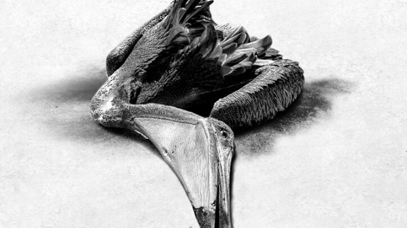 Priča koja se tiče svih nas 1 Priča koja se tiče svih nas 1