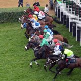 Sve spremno za početak 57. Ljubičevskih konjičkih igara 5