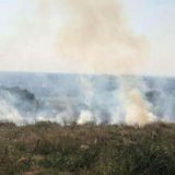 Apel poljoprivrednicima: Posle žetve ne paliti njive 4
