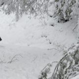 Negovateljice u Crnoj Travi stižu i do najudaljenijih korisnika 15