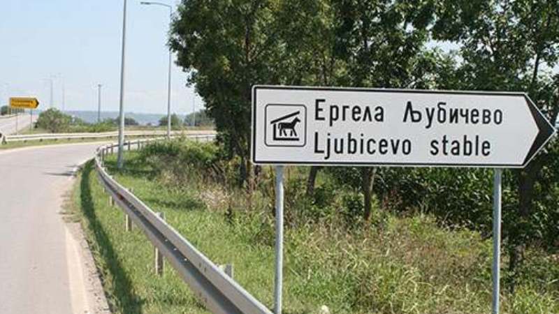 Požarevac: Novi putokazi 1