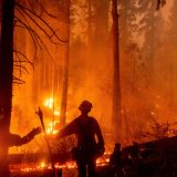 VOA:U požarima u Oregonu najmanje 25 mrtvih i desetine nestalih 4