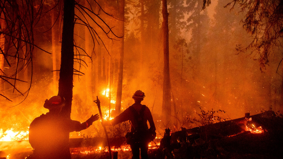 Požari u Kaliforniji: Spasilačke akcije u toku 1