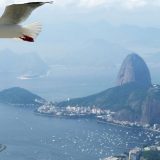 Rio de Žaneiro otkazao karneval zbog korona virusa 12