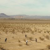 Film o nedovršenom pustinjskom gradu - mestu transformacije i ponovnog rođenja 10