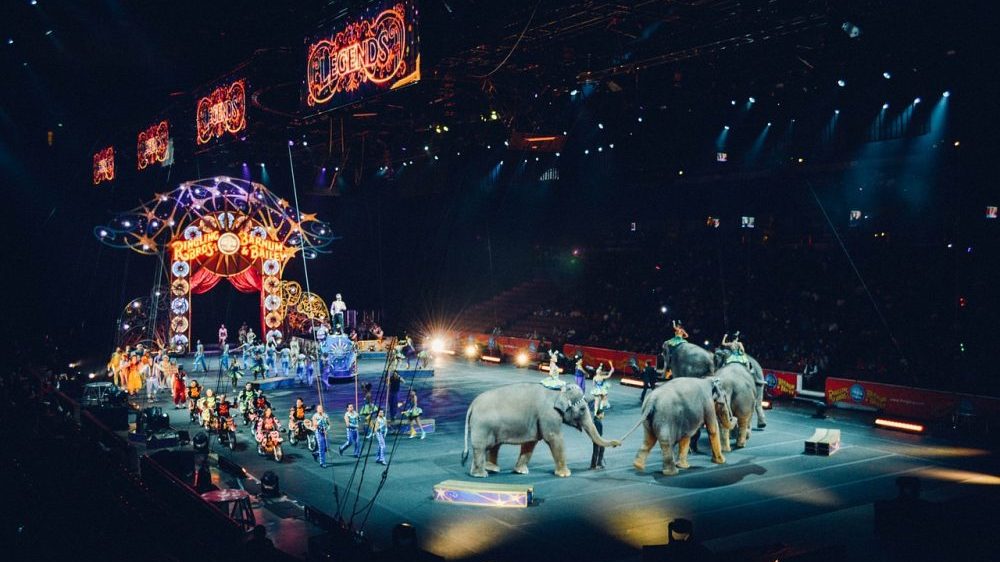 Francuska zabranjuje divlje životinje u cirkusima, marinskim parkovima 1