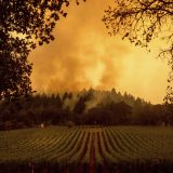 U požarima u Kaliforniji tri osobe poginule, evakuisano 70.000 ljudi 15