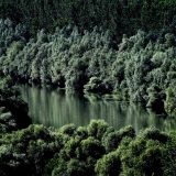 Deca u Portugaliji tužila 33 države zbog zagađenja 8