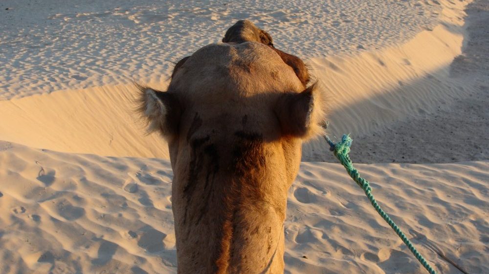 Toplotni talasi - opasnost koja se u Africi ne registruje 1