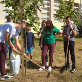 Umesto proslave, đaci zasadili drveće 10