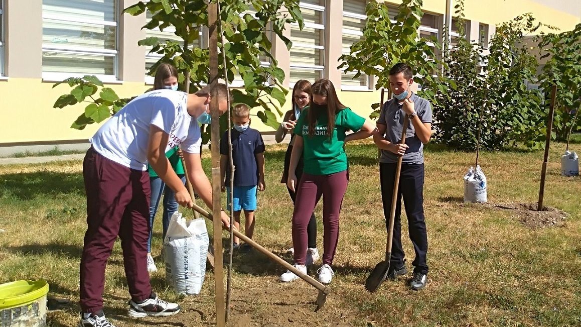 Umesto proslave, đaci zasadili drveće 1