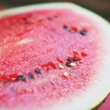 Hrvatska: Evroposlanik Živog zida pobacao lubenice ispred zgrade Vlade 4