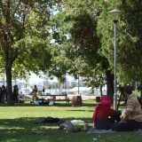 Kovačević: U Srbiji se ne kažnjavaju akti mržnje protiv migranata 5