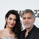 Kluni fondacija za pravdu: Možemo zatražiti praćenje suđenja Aleksandru Obradoviću 13