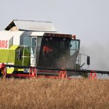 Pad BDP-a mnogo manji nego što se strahovalo 6