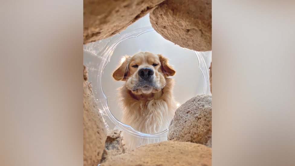 Candice Sedighan cut a hole into the food container and taped her iPhone to it for this picture