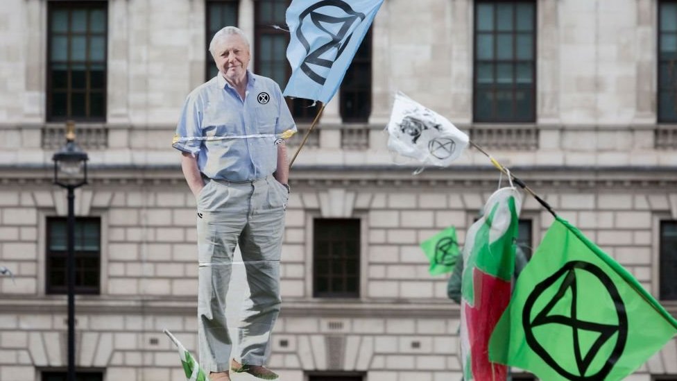 A David Attenborough cut-out carried by Extinction Rebellion activists during a protest in London in 2018