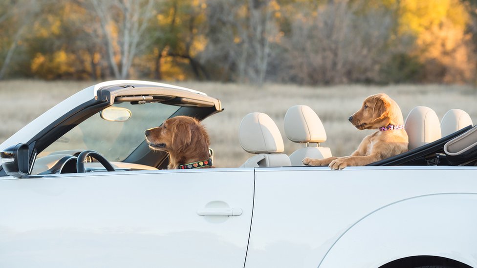 Karen Hoglund captures Dany and Gabby at the wheel
