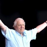 Dejvid Atenboro: Kako je 94-godišnji prirodnjak „pokorio“ Instagram 7