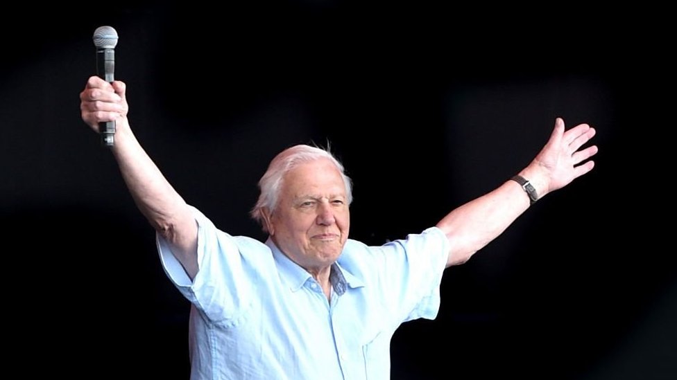 David Attenborough salutes the crowd at Glastonbury Festival in June 2019