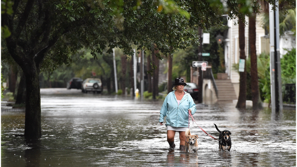Predsednički izbori u Americi 2020: Šta će rezultati značiti za klimatske promene 7 poplave, Čarlston