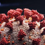 Korona virus i imunitet: Drugi put se zarazio korona virusom, sada još teže 3