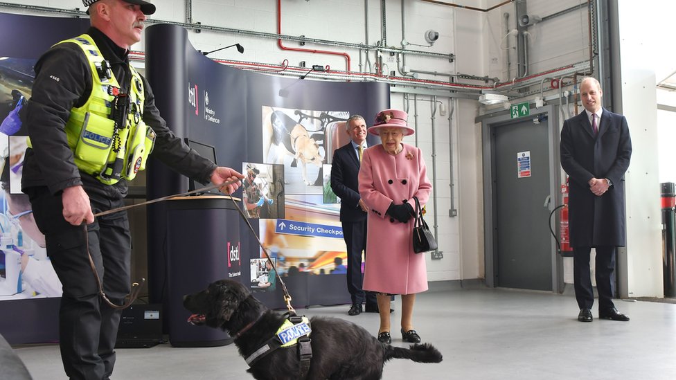 Kraljica Elizabeta Druga: Prva javna poseta van kraljevske rezidencije od marta meseca 3 The Queen and the Duke of Cambridge watched a demonstration of a forensic explosives investigation with explosives detection dog named "Max" during their visit