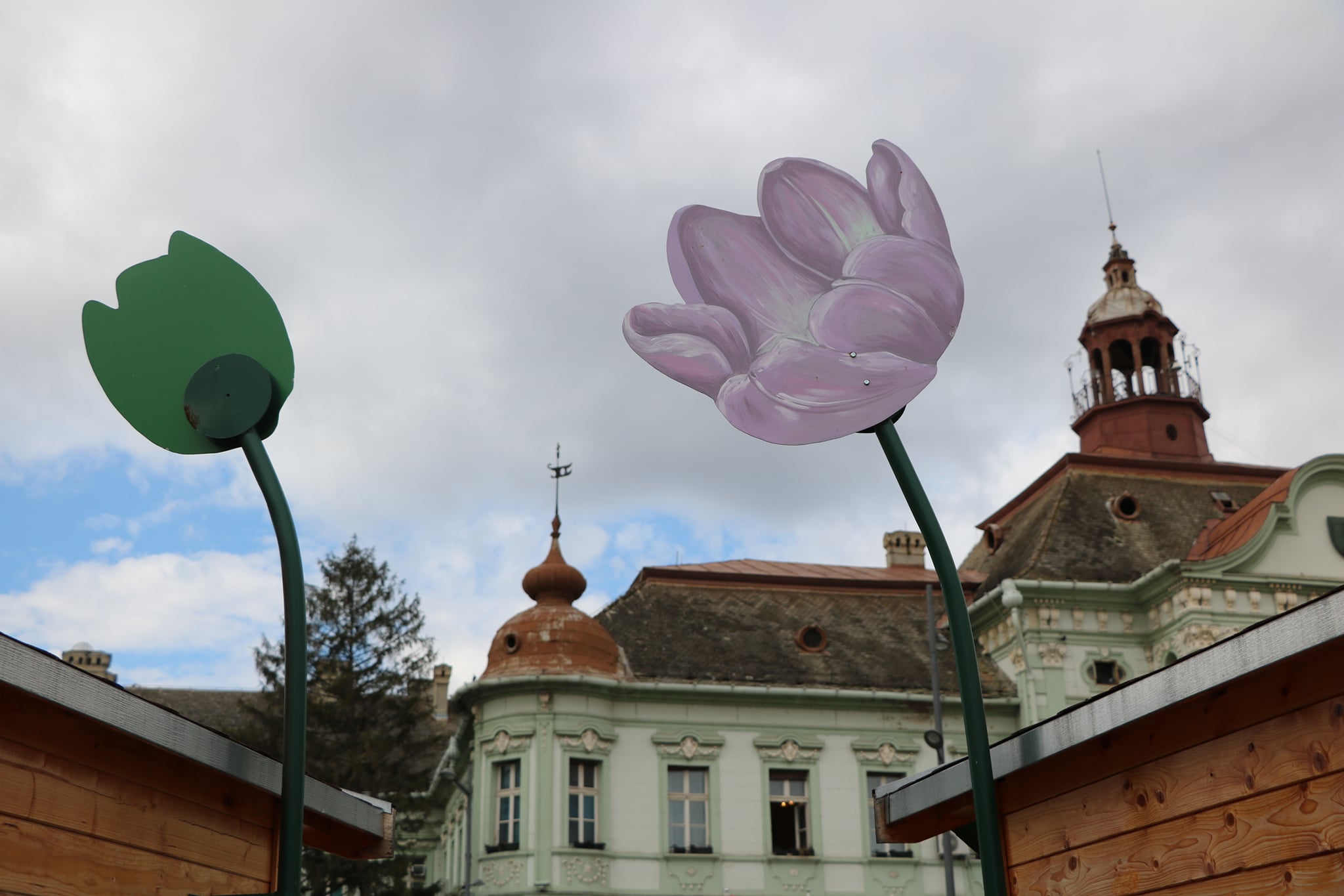 Na trgu u Zrenjaninu svega što ne treba 2