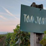 Župa (1): Bez vina u tetrapaku 5