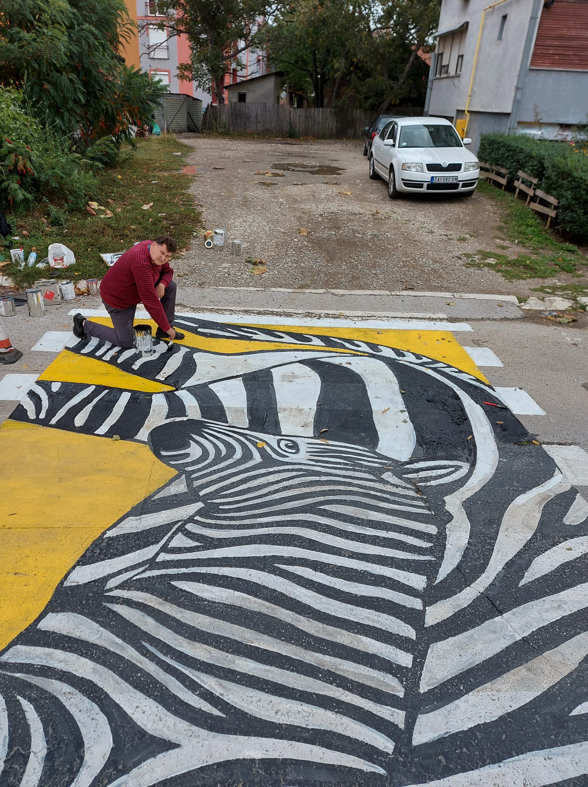 Slikanje Zebri i u Čačku 1