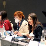 NKEU osudio spiralu nasilja u Srbiji i pozvao Evropsku komisiju da se oglasi 5