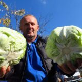 Kupus, krompir, šargarepa... Zašto je inflacija u aprilu veća nego što je Narodna banka očekivala? 4