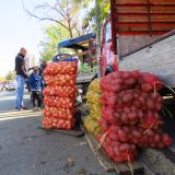 SSP: Nezapamćeno niska otkupna cena krompira 13