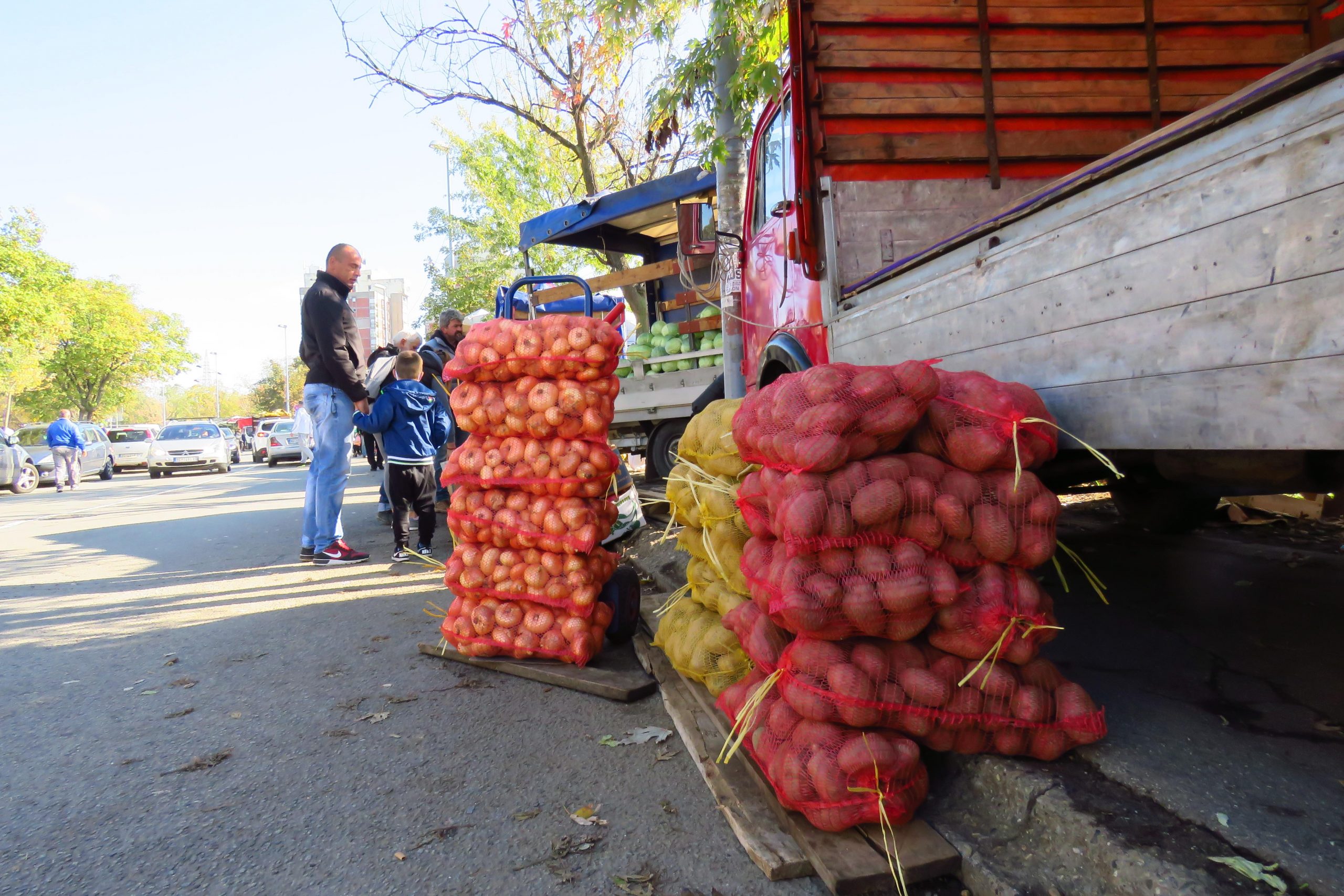 SSP: Nezapamćeno niska otkupna cena krompira 1