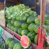 Javno nadmetanje za sezonsku prodaju voća, povrća i lubenica u Subotici 4