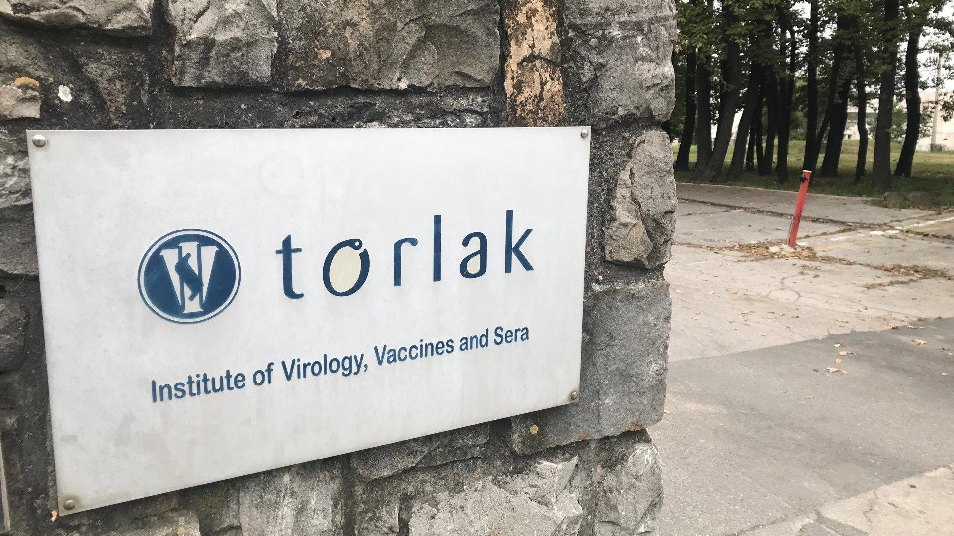 Direktorka Torlaka: Ako bismo mi proizvodili vakcinu, uvek bi bila dostupna 1