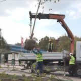 Počela jesenja sadnja stabala 14