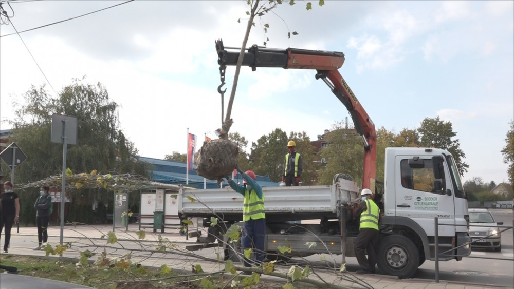 Počela jesenja sadnja stabala 1