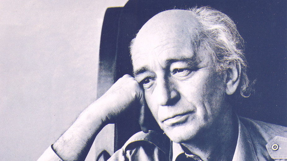 Božidar Šujica: Konstantinovićeva neprolazna svest o suštini 1