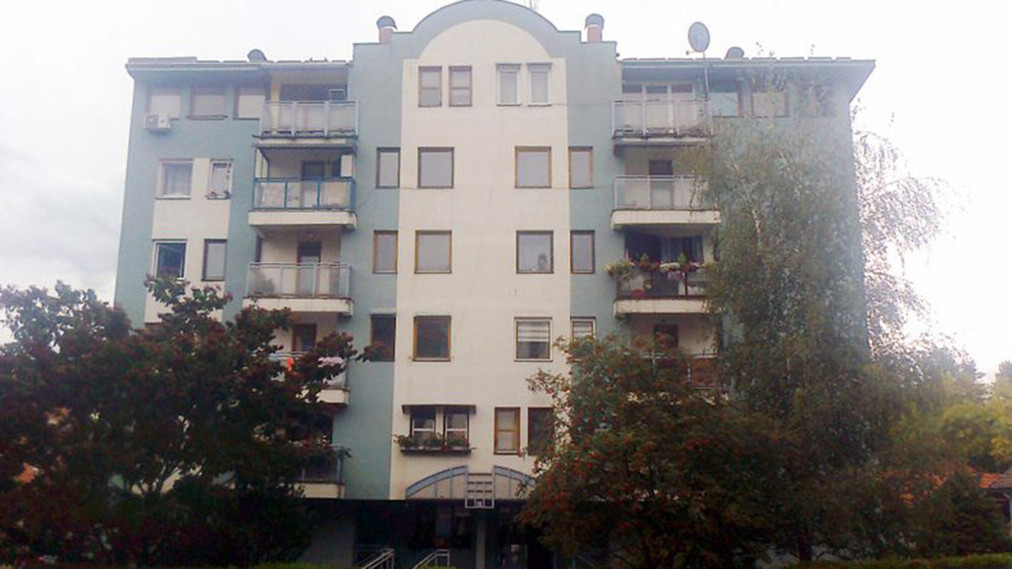 Majka i sin u Bajinoj Bašti preminuli u istom danu od upale pluća 1