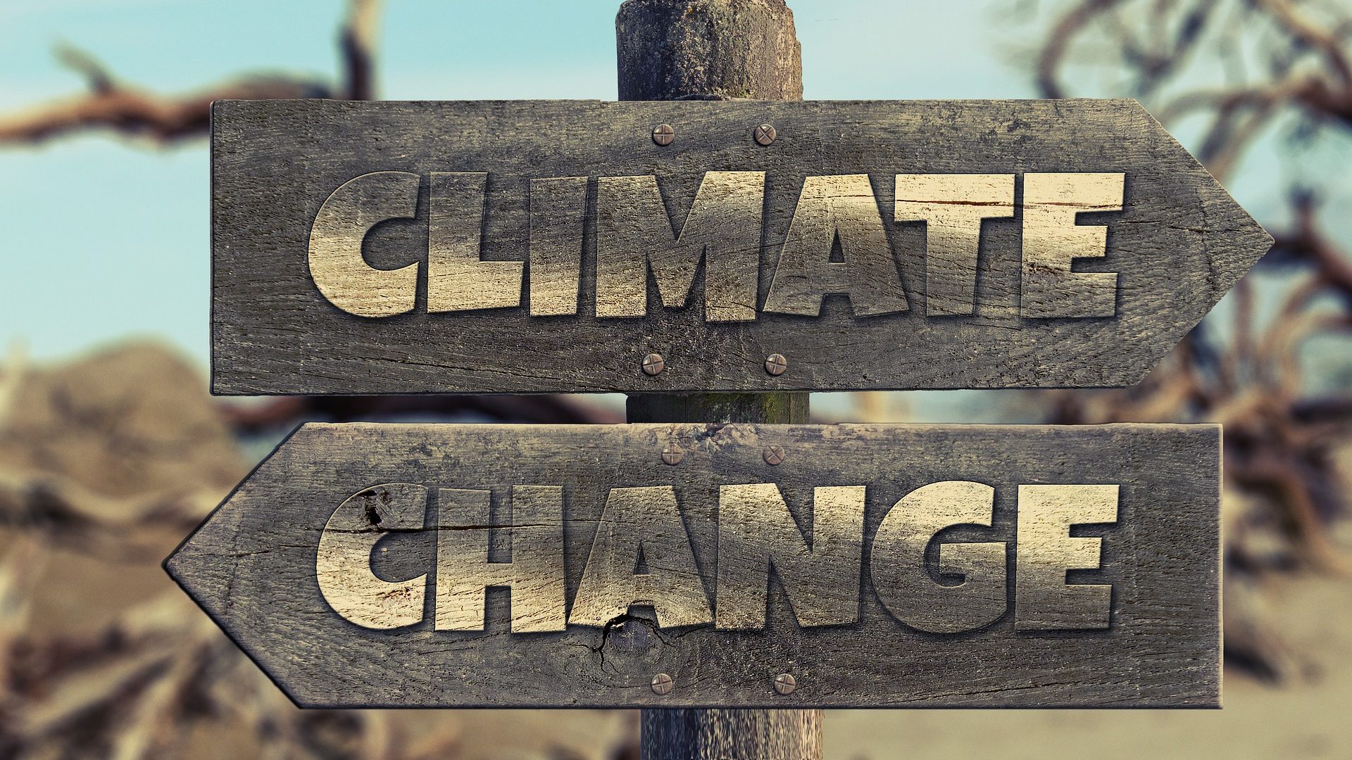 Kako nas je dokumentarac iz 1981. upozoravao na klimatske promene? 1