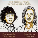 Nobelova nagrada za hemiju dodeljena Emanueli Šarpantje i Dženifer Dudni 10