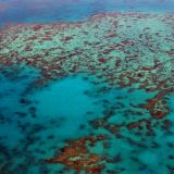 Polovina korala u australijskom Velikom grebenu uništena u poslednjih 25 godina 1