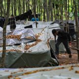 U sukobu migranata kod Bihaća, dvoje mrtvih i 18 povređenih 11