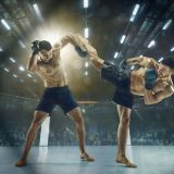 TOP 5 MMA boraca 2000-ih 3