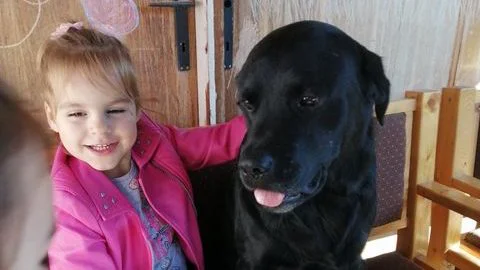 Devojčica Saša iz Kraljeva i njen pas Oskar - dva borca koja ne odustaju 1