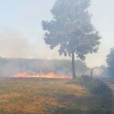 Ministarstvo zapretilo: Onima koji spaljuju strnjiku, gazdinstvo ide u pasivan status 2