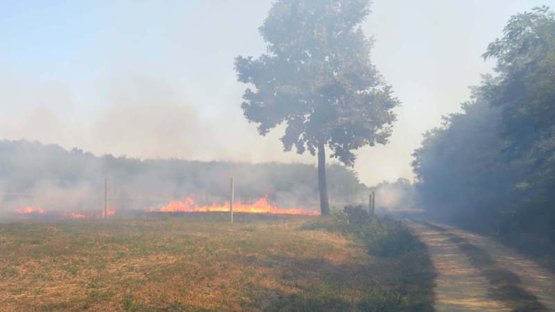 Upozorenje Ministarstva: Paljenje strnjike krivično delo 1